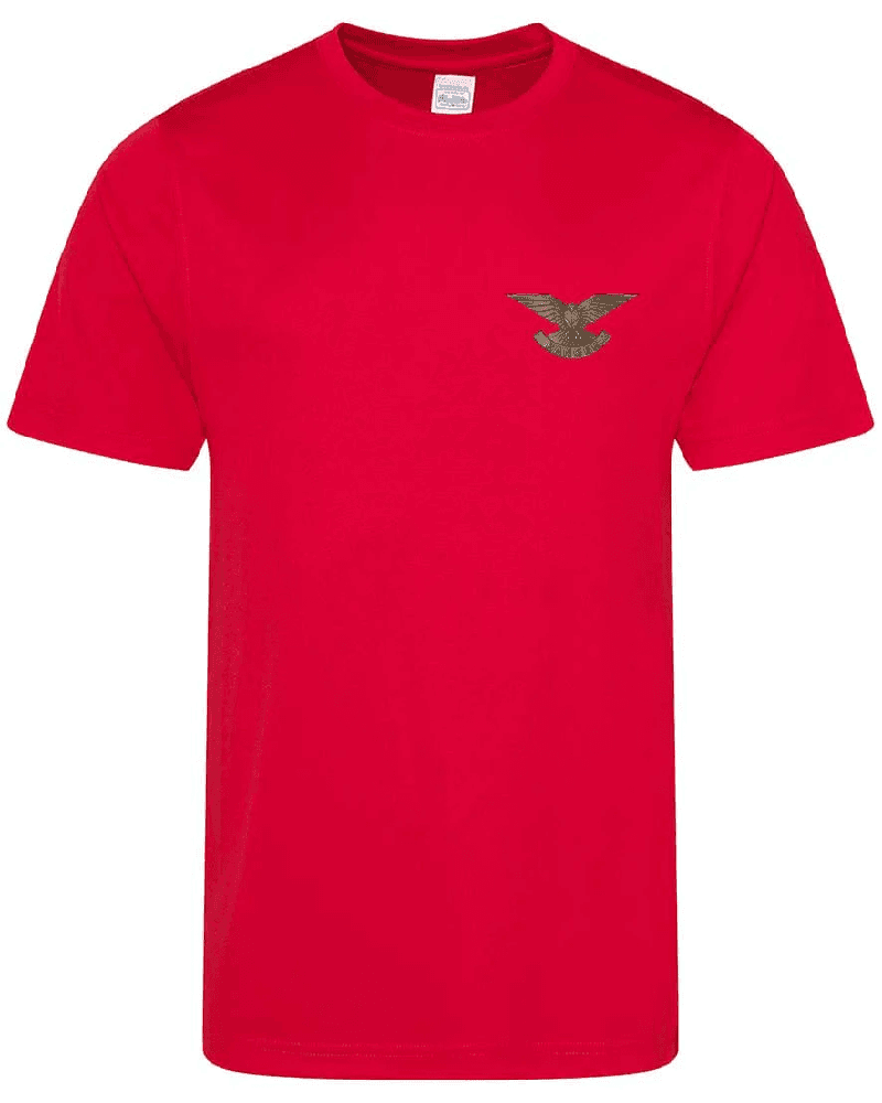Sports T-shirt Manufacturer in Bangladesh (9)