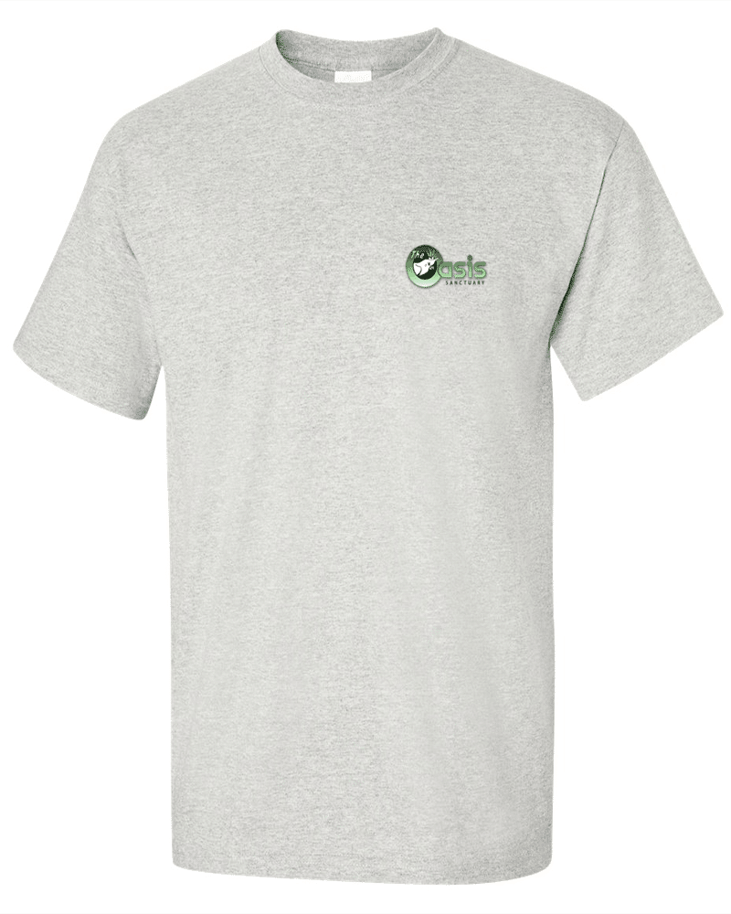 Short-Sleeve T-shirt manufacturer in Bangladesh (2)